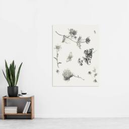"Artery8 Flowers Leaves Butterfly Drawing Vintage Wall Art Print Hoytema in White - Size: W12"" x H16""" - thumbnail 4
