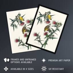 "Artery8 American Goldfinch & Thistle Audubon Nature Wall Art Print Poster in White - Size: W12"" x H16""" - thumbnail 2