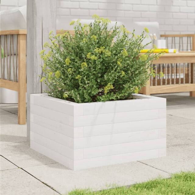 Berkfield Home Decorative Garden Planter White 40x40x23 cm Solid Wood Pine - Size: 40 x 40 x 23 cm - image 1
