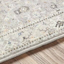 Livabliss Becki Owens Davine Vintage Grey Brown Traditional Boho Living Dining Rug - Size: 80 cm x 220 cm - thumbnail 7