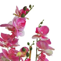 Leaf 70cm Artificial Orchid Light Pink with Black Ceramic Planter - thumbnail 3