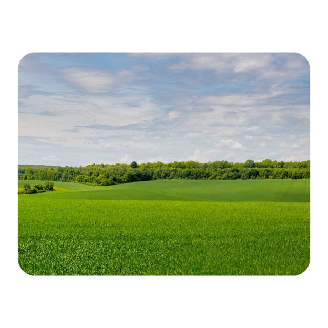 Benjamin Tate Design Summer landscape with hilly green field & forest in the distance Designer Blanket in Natural - Size: 120 cm x 150 cm - image 1