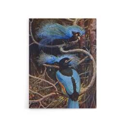 "Artery8 Blue Bird of Paradise Sir Henry Johnston Vintage Canvas Wall Art in Brown - Size: W18"" x H24""" - thumbnail 1