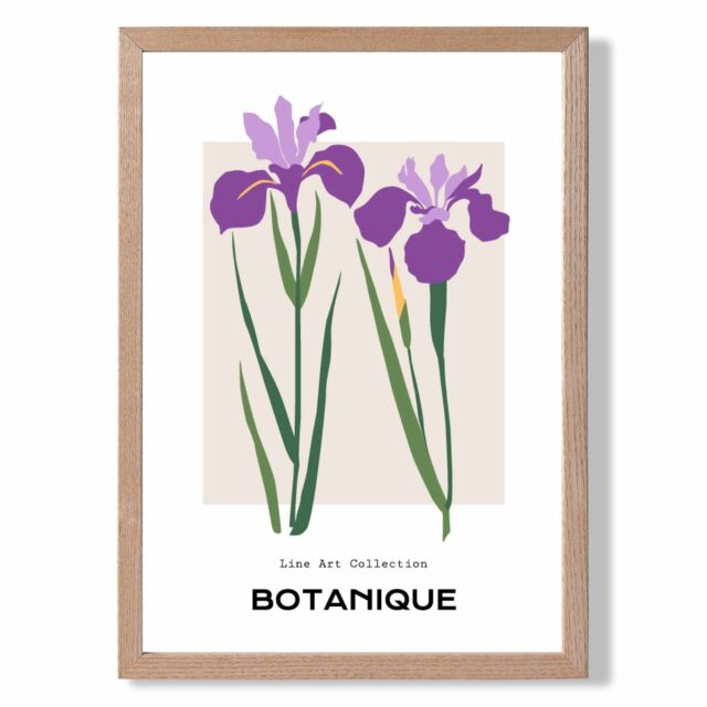 ARTZE Purple Iris Plants Flower Market Minimalist Framed Print SIZE: A2 with Oak Frame - Size: A3 - image 1