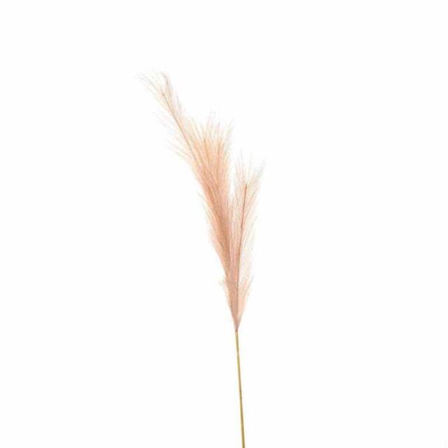 Lemon Pavilion Furniture and Decor Faux Pampas Grass Stem Artificial Plant - L30 x W30 x H85 cm in Beige