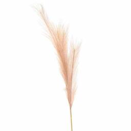 Lemon Pavilion Furniture and Decor Faux Pampas Grass Stem Artificial Plant - L30 x W30 x H85 cm in Beige - thumbnail 2