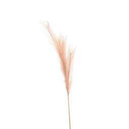 Lemon Pavilion Furniture and Decor Faux Pampas Grass Stem Artificial Plant - L30 x W30 x H85 cm in Beige - thumbnail 1
