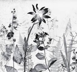 Superfresco Easy Flower Press Mono Print To Order 3m x 2.8m Mural in White - thumbnail 2