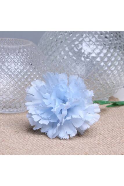 KDMD Baby Blue Single Carnations 12 Stems 2 Pack - image 1