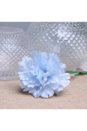 KDMD Baby Blue Single Carnations 12 Stems 2 Pack