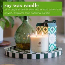 Nicola Spring 400g Soy Wax Scented Candle & Reed Diffuser Set - Vanilla Sands in Clear - thumbnail 4