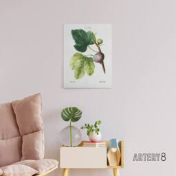 "Artery8 Botanical Ficus Carica Fig Redoute Vintage Canvas Wall Art in White - Size: W18"" x H24""" - thumbnail 3