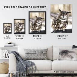 Artery8 Owl perched on a rock Carol M Highsmith Framed Wall Art Print - Size: A4 - thumbnail 3
