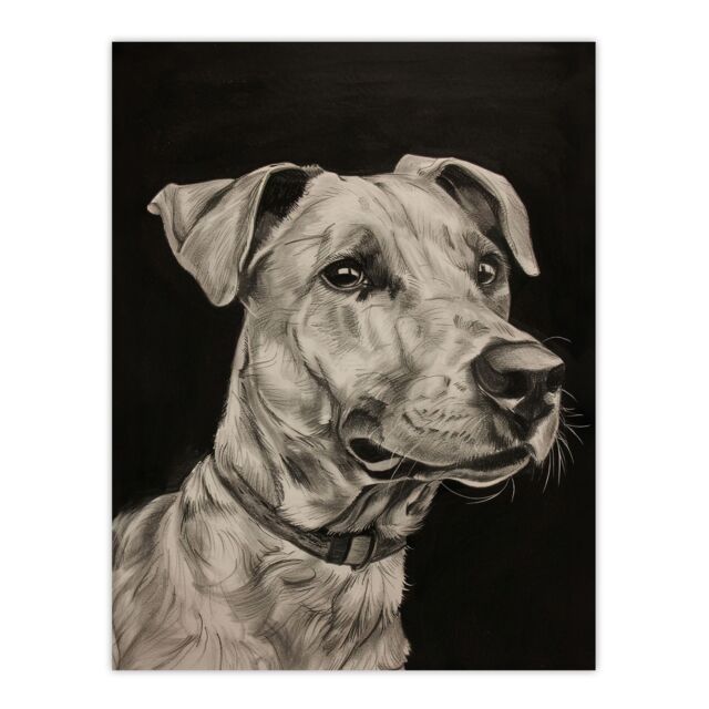 "Artery8 Dog Lover Portrait Pencil Drawing Pet Animal Wall Art Print in Black - Size: W24"" x H32""" - image 1