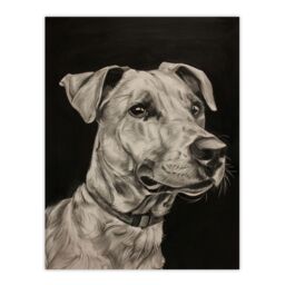"Artery8 Dog Lover Portrait Pencil Drawing Pet Animal Wall Art Print in Black - Size: W24"" x H32""" - thumbnail 1