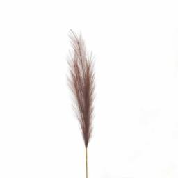 Lemon Pavilion Furniture and Decor Taupe Faux Pampas Grass Stem Artificial Plant - L30 x W30 x H85 cm in Brown - thumbnail 1