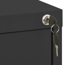 Berkfield Home Filing Cabinet Anthracite 46x62x72.5 cm Steel in Black - thumbnail 6