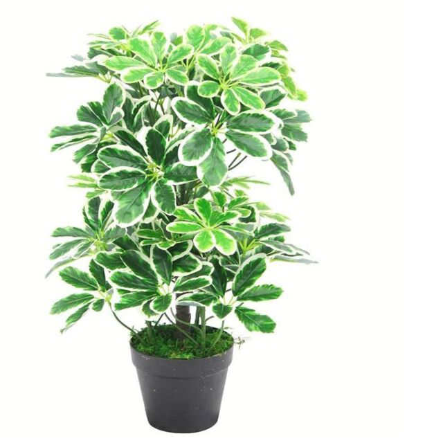 Leaf 55cm Variegated Artificial Schefflera Arboricola Plant in Green - image 1