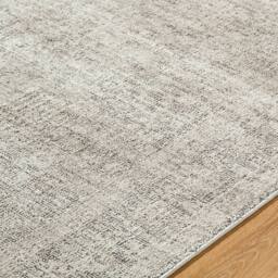 Livabliss Galey Alix Maria Elena V-Vintage Brown Traditional Fringe Living Rug in Ivory - Size: 66 cm x 120 cm - thumbnail 3