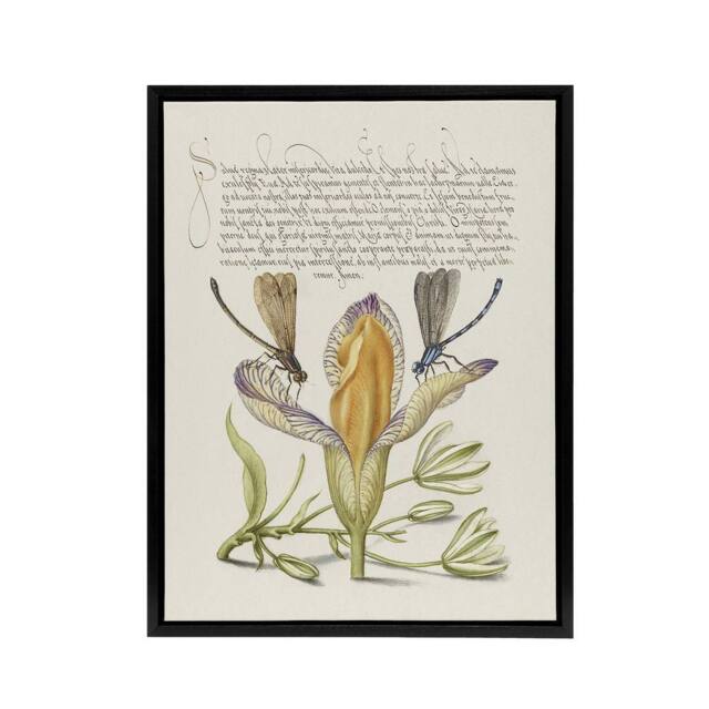 "Artery8 Damselflies on Spanish Iris Calligraphy Framed Canvas Wall Art Print in Beige - Size: W12"" x H16""" - image 1