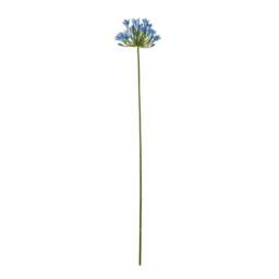 Lemon Pavilion Furniture and Decor Agapanthus (Single Stem Flower) - Plastic - L15 x W15 x H75 cm - Blue
