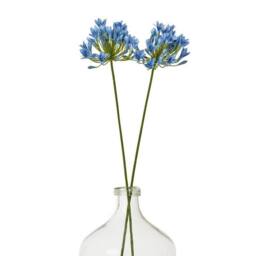 Lemon Pavilion Furniture and Decor Agapanthus (Single Stem Flower) - Plastic - L15 x W15 x H75 cm - Blue - thumbnail 3