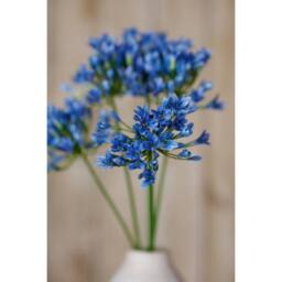 Lemon Pavilion Furniture and Decor Agapanthus (Single Stem Flower) - Plastic - L15 x W15 x H75 cm - Blue - thumbnail 5