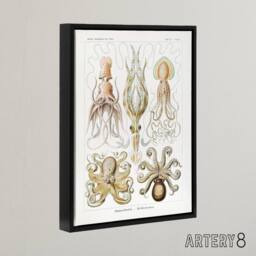"Artery8 Squid & Octopus Vintage s Haeckel Botanical Framed Canvas Wall Art in White - Size: W12"" x H16""" - thumbnail 2