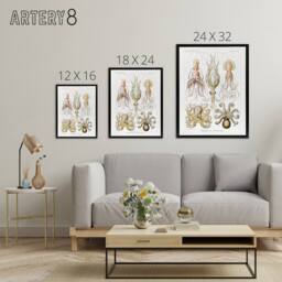 "Artery8 Squid & Octopus Vintage s Haeckel Botanical Framed Canvas Wall Art in White - Size: W12"" x H16""" - thumbnail 4
