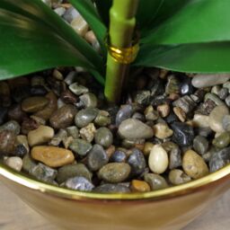 Leaf 52cm Artificial Orchid Large White & Gold - thumbnail 4