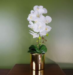 Leaf 52cm Artificial Orchid Large White & Gold - thumbnail 1