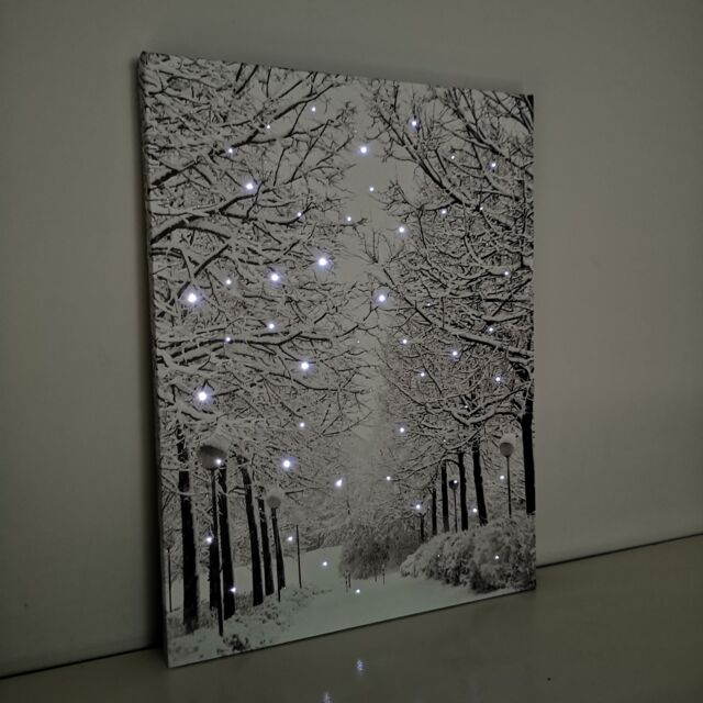 Samuel Alexander 40 x 30cm Battery Operated Light up Fibre Optic Winter Avenue Christmas Wall Canvas in White - Size: 40 x 30 cm - image 1