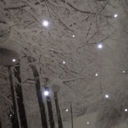 Samuel Alexander 40 x 30cm Battery Operated Light up Fibre Optic Winter Avenue Christmas Wall Canvas in White - Size: 40 x 30 cm - thumbnail 3