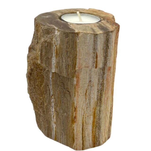 KDMD Petrified Wood Candle Holder - Single Tall in Brown - image 1