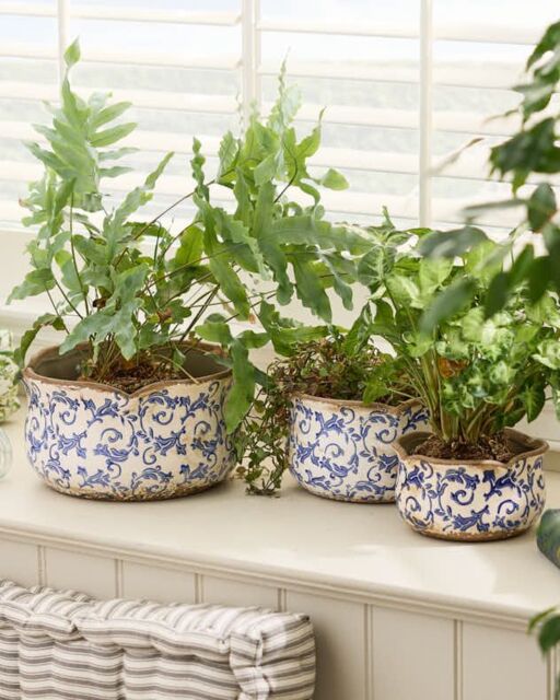 Dibor Set of 3 Vintage Blue Florence Indoor Planters Flower Planter Pots - Size: Large