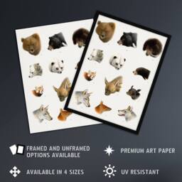 Artery8 Small & Large Animals Vintage Artwork Lydekker Framed Wall Art Print in White - Size: A4 - thumbnail 2