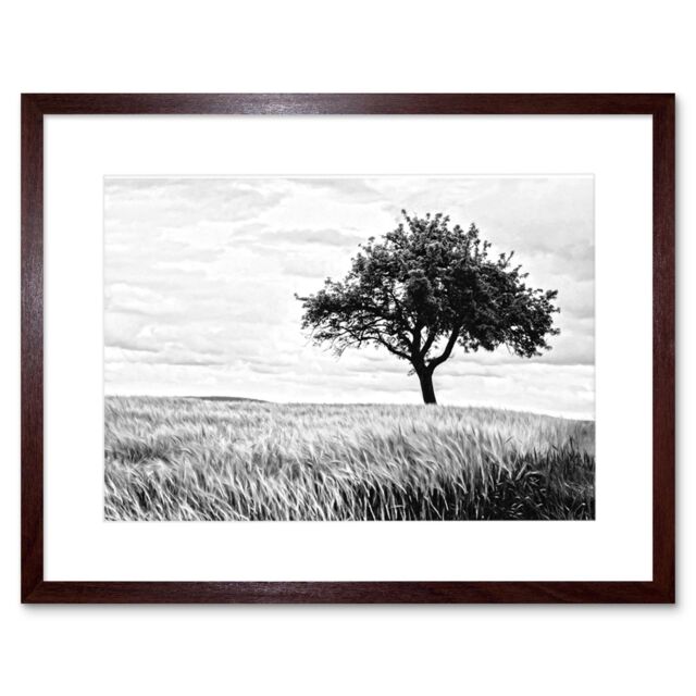 "Artery8 Wall Art Print Lone Tree Wheat Field Black White Framed in Brown - Size: W7"" x H9""" - image 1