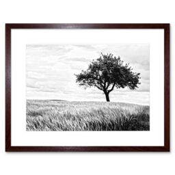 "Artery8 Wall Art Print Lone Tree Wheat Field Black White Framed in Brown - Size: W7"" x H9""" - thumbnail 1
