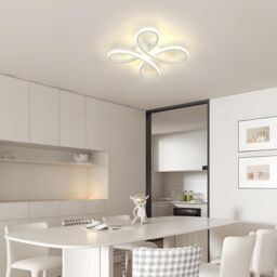 Pheashine Modern LED Ceiling Light 30 W 3500 LM 4500 K Natural Light in White - thumbnail 7