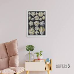 "Artery8 Blastoid Sea Buds Urchins Haeckel Botanical Canvas Wall Art in White - Size: W18"" x H24""" - thumbnail 3