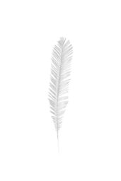 VFM e-Store Glitter Fern Picks Christmas Decoration Ornament X 1 58cm White - thumbnail 1