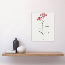 "Artery8 Nadeshiko Flower Vintage Japan Wall Art Print Japanese Botanical in Blue - Size: W12"" x H16""" - thumbnail 4