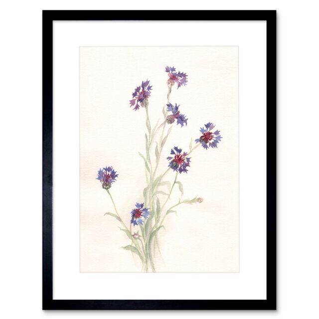 "Artery8 Wall Art Print Flower Cornflowers Watercolour Art Framed 9x7 inch in Black - Size: W7"" x H9""" - image 1