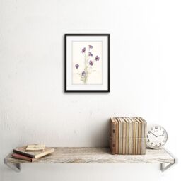 "Artery8 Wall Art Print Flower Cornflowers Watercolour Art Framed 9x7 inch in Black - Size: W7"" x H9""" - thumbnail 2