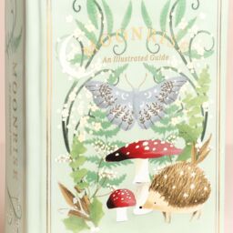 Lisa Angel Women's Ceramic Moonrise Woodland Book Vase in Pale Green - thumbnail 2