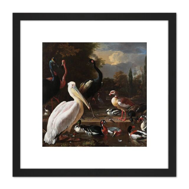 Artery8 Hondecoeter Pelican Birds Pool Floating Feather 8X8 Inch Square Wooden Framed Wall Art Print Picture with Mount in Black - image 1