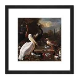 Artery8 Hondecoeter Pelican Birds Pool Floating Feather 8X8 Inch Square Wooden Framed Wall Art Print Picture with Mount in Black - thumbnail 1