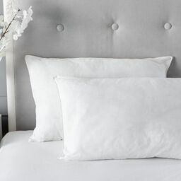 Snug City Anti Allergy Hollowfibre 2 Pack Pillows Microfibre Soft Cover & Anti Allergy Hollowfibre Filling in White
