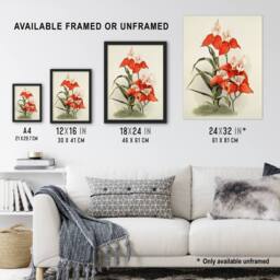 "Artery8 Frederick Sander Disa Grandiflora Orchid Flowers Wall Art Print - Size: W12"" x H16""" - thumbnail 3