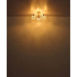 Netlighting Floriella Ceiling Light Gold Colors Crystals Glass Shade LED 3000K - thumbnail 3